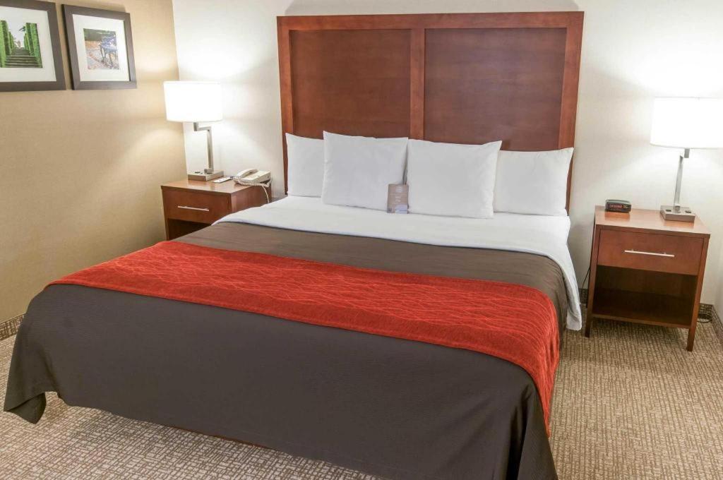 Comfort Inn Quantico Стаффорд Экстерьер фото