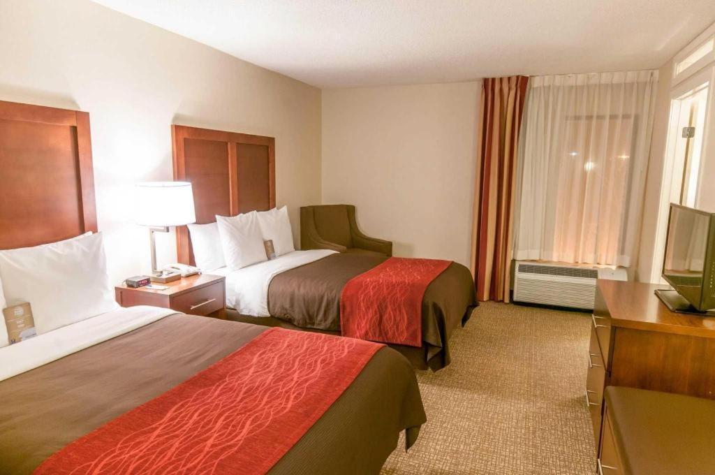 Comfort Inn Quantico Стаффорд Экстерьер фото
