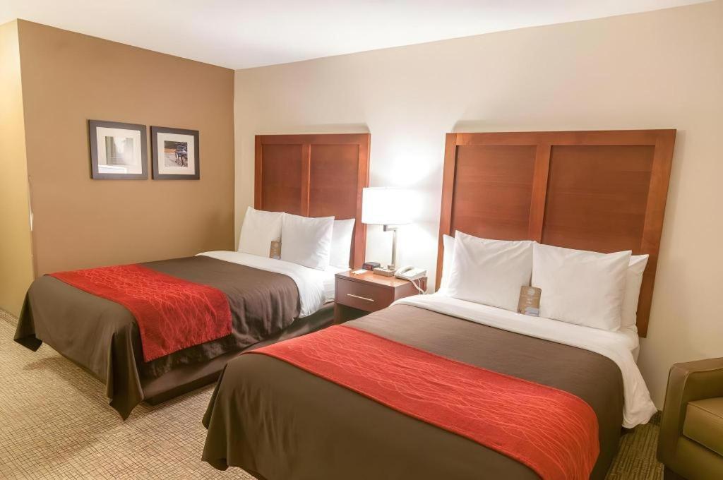 Comfort Inn Quantico Стаффорд Экстерьер фото